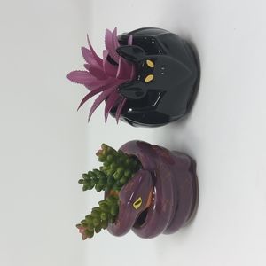 Target Hyde and Eek Snake & Bat Succulent